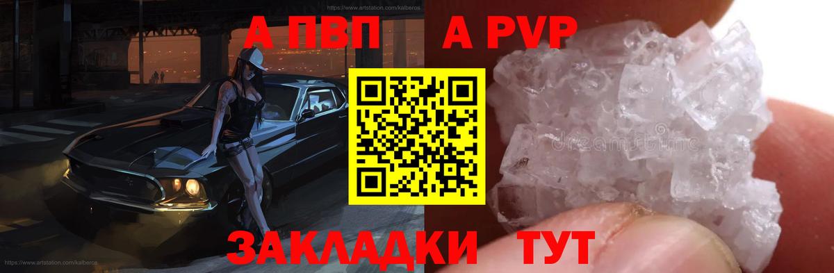 Альфа ПВП СК Кузнецк