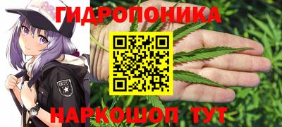 крисы Конаково