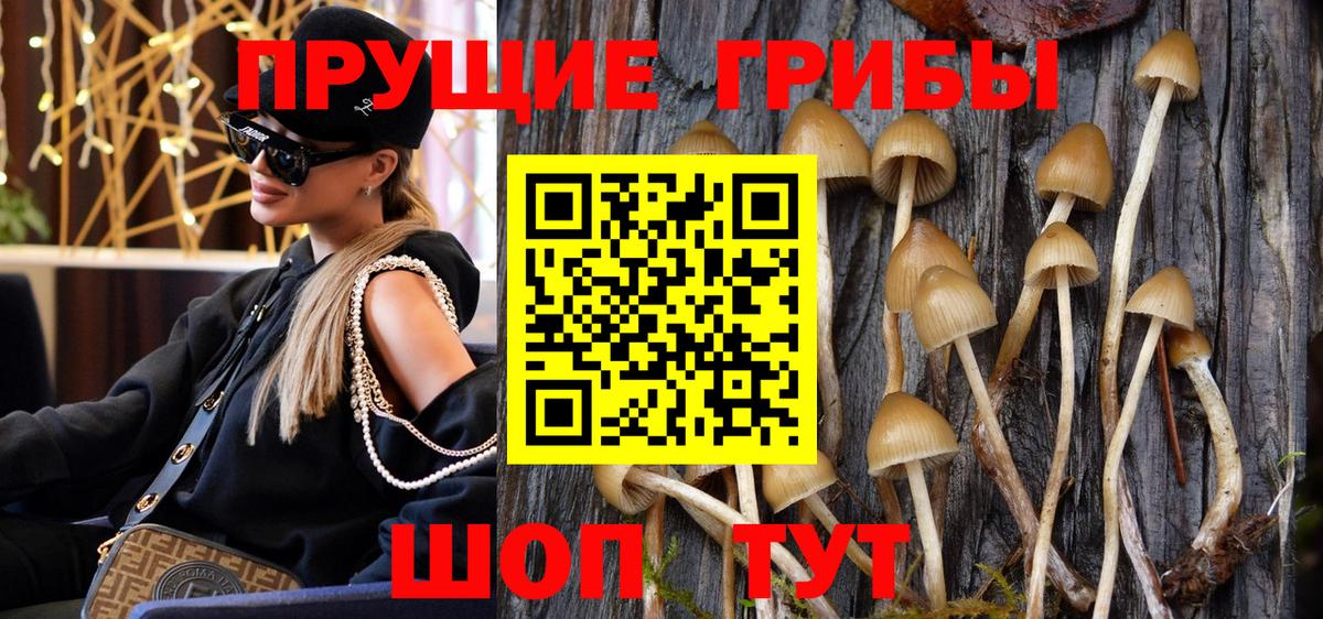 Псилоцибиновые грибы ЛСД  Вход с VPN  Кузнецк 